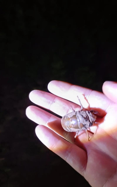 瑞昌市乐园乡求知幼儿园