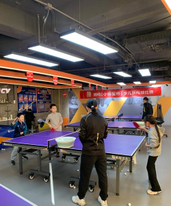 巍山县乒搏体育培训有限责任公司