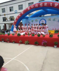 岷县茶埠镇中心小学