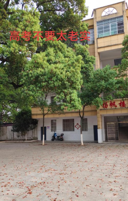 攸县坪阳庙乡中学