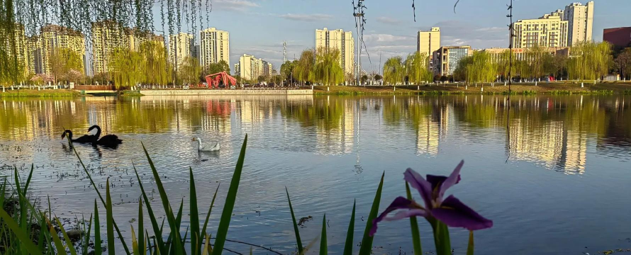 德阳市电子工程学校