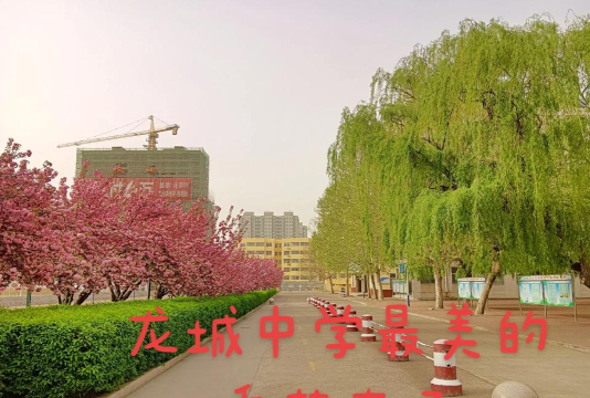 泗水县龙城初级中