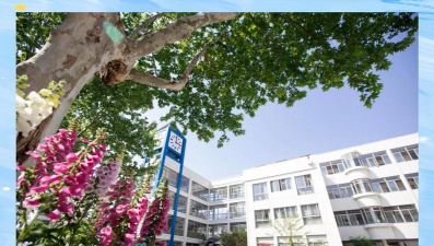 七宝镇明强小学