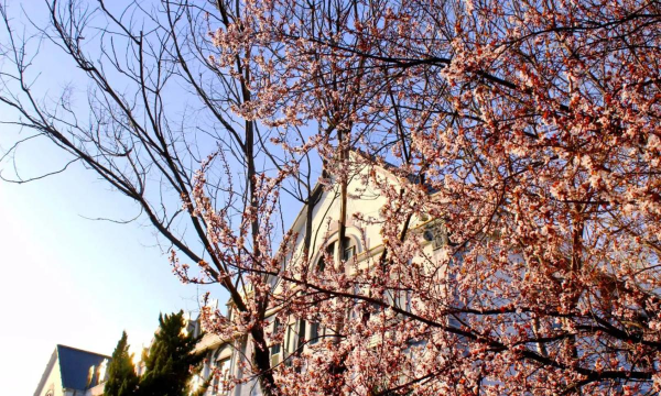 清丰县第一高级中学(清丰一高)