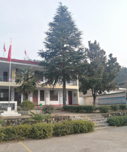 党坪乡学校