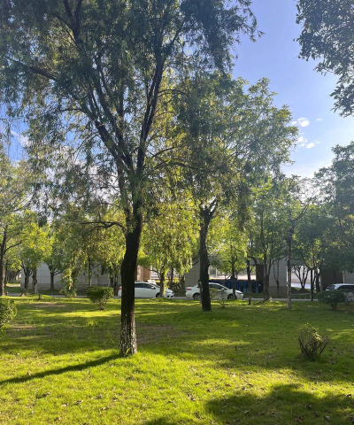 常德市武陵区东江乡中学