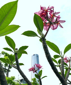 宁波市江东区东郊乡仇毕幼儿园