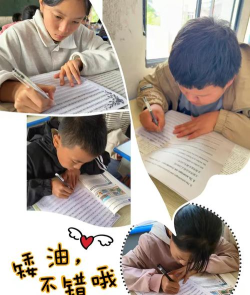 王家坪乡明德学校