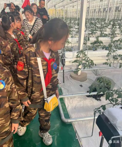 乌拉特后旗第一完全小学