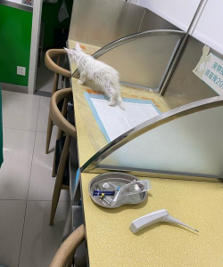 江山市须江镇城关幼儿园医务室