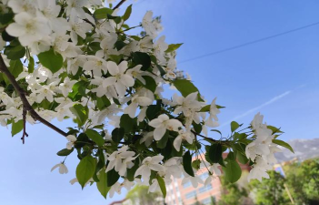 阿合奇县哈拉布拉克中学