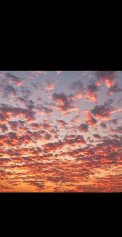 聪明屋儿童乐园