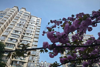 普陀区桃浦镇春光幼儿园