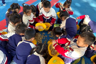 丰南市稻地镇付庄幼儿园