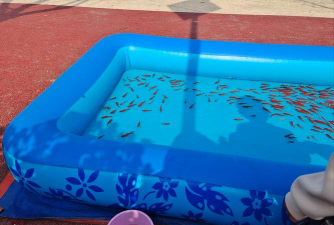 平谷区南独乐河幼儿园