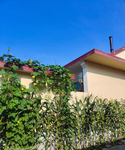 北京市昌平区北七家镇鹏程爱果社区办园点