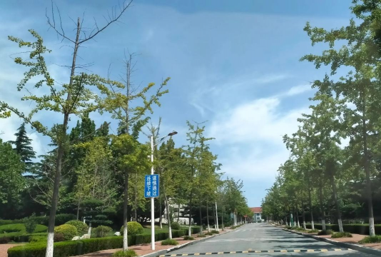 鲁东大学