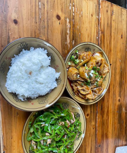 成都新东方优能中学