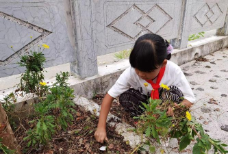 乐昌市沙坪镇茶园小学