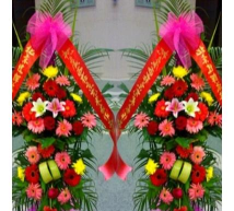 德江到青龙镇兴旺幼儿园