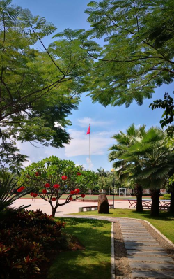 海口市港湾小学