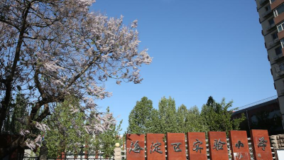 北京海淀区实验小学紫竹分校