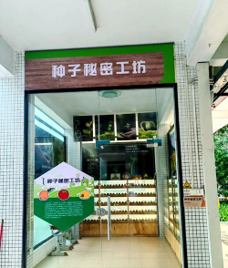 深圳市龙华区胜华小学