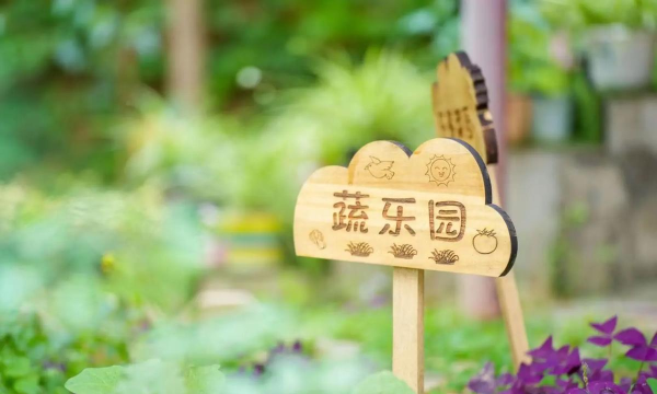 增城市东方幼儿园