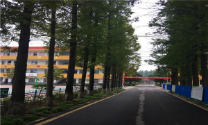 阜阳颍上信息工程学校