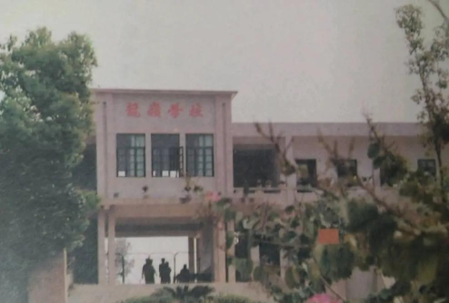 杜阮镇龙岭小学