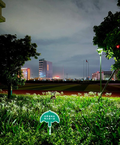 佛山市顺德区杏坛光辉小学