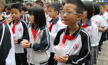 佛山市顺德区乐从大闸小学
