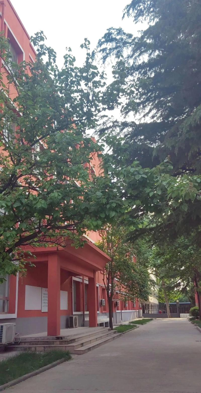 大林乡上大林学校