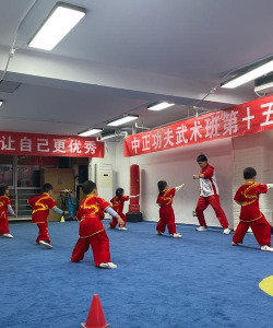 秦皇岛市海港区红馆武术培训学校