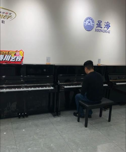 秦皇岛市海港区秦之声艺术培训学校有限公司