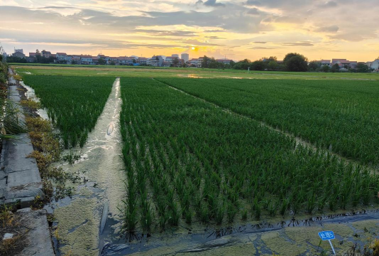 盘锦市兴隆台区阳帆教育培训中心有限公司兴隆台三工地分公司