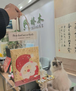 贵港市木木文化传媒有限公司