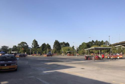 佛山市禅城区东弈体育培训有限公司