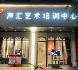 重庆两江新区桃言知声艺术培训中心有限公司