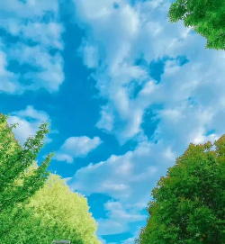 松原市宁江区成名教育培训学校有限公司