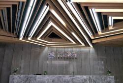 重庆高新技术产业开发区荷马培艺课外教育培训学校有限公司