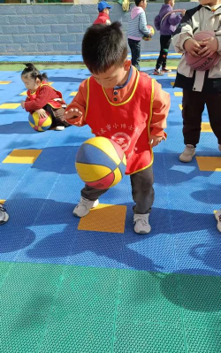 晋宁县宝峰镇小博士幼儿园