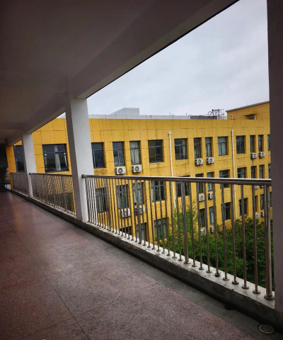 雷州市调风镇西湖小学