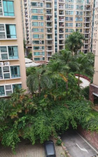 深圳市罗湖区童晖幼儿园