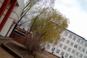 宾县鸟河乡第三中学