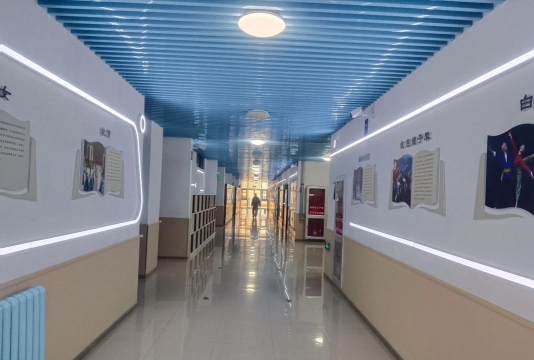 罗定市雏鹰附城文化艺术发展有限公司