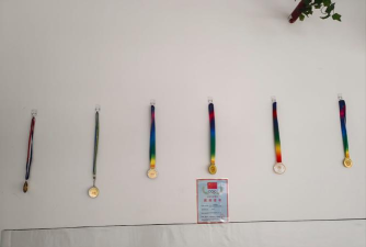 五河县复强武术培训有限公司