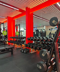 博州乐体体育咨询有限公司