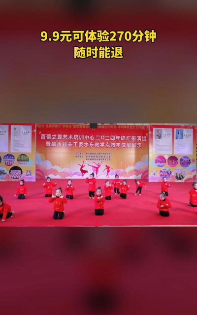 葫芦岛市连山区蓓蕾艺术辅导有限公司