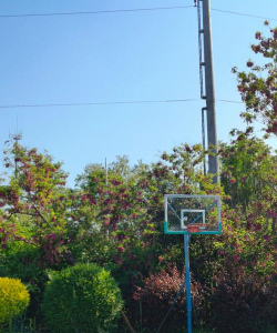 芜湖市保定中心小学新胜分校